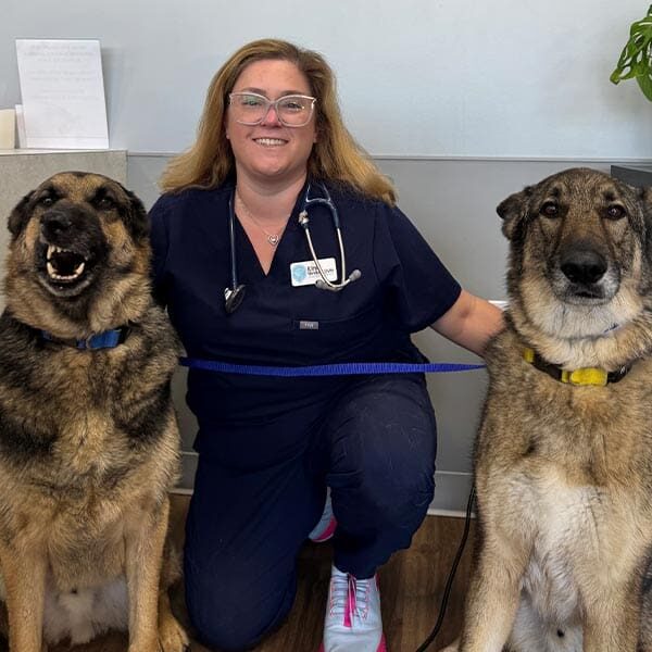 Dr Kirsti Novikoff with two dogs