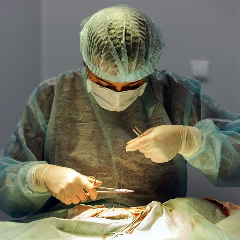 Emergency Pet Surgery In Prosper, TX veterinarian performing spay surgery on cat